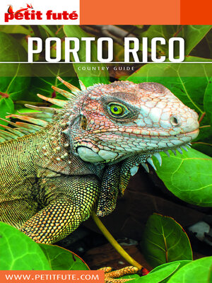 cover image of PORTO RICO 2019 Petit Futé